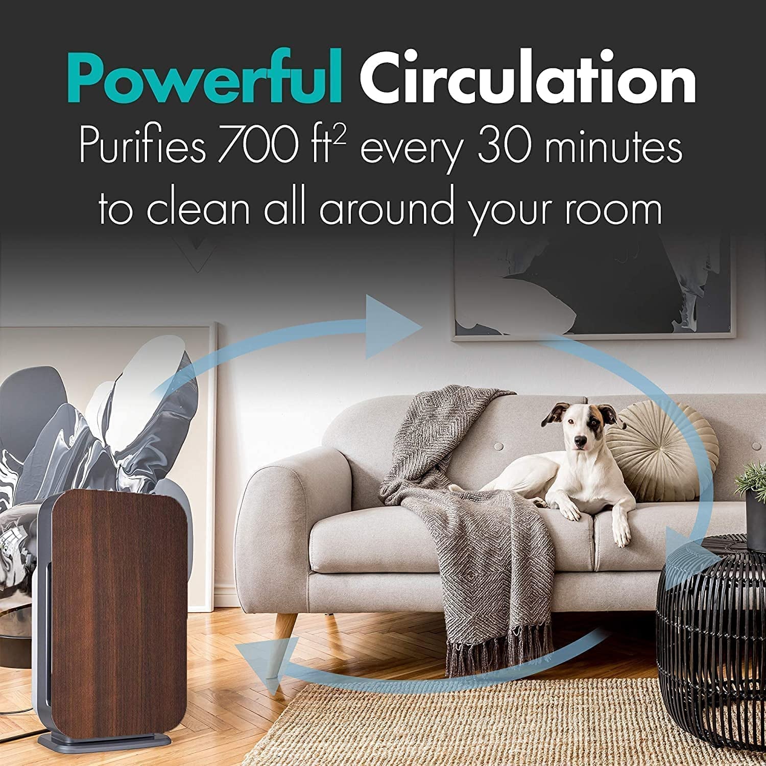 Air Purifier Breathesmart Flex HEPA with Pure Filter | 1400 Sq. Ft | Perfect for Bedrooms & Home Offices - Captures Allergens, Dust, & Mold - Espresso